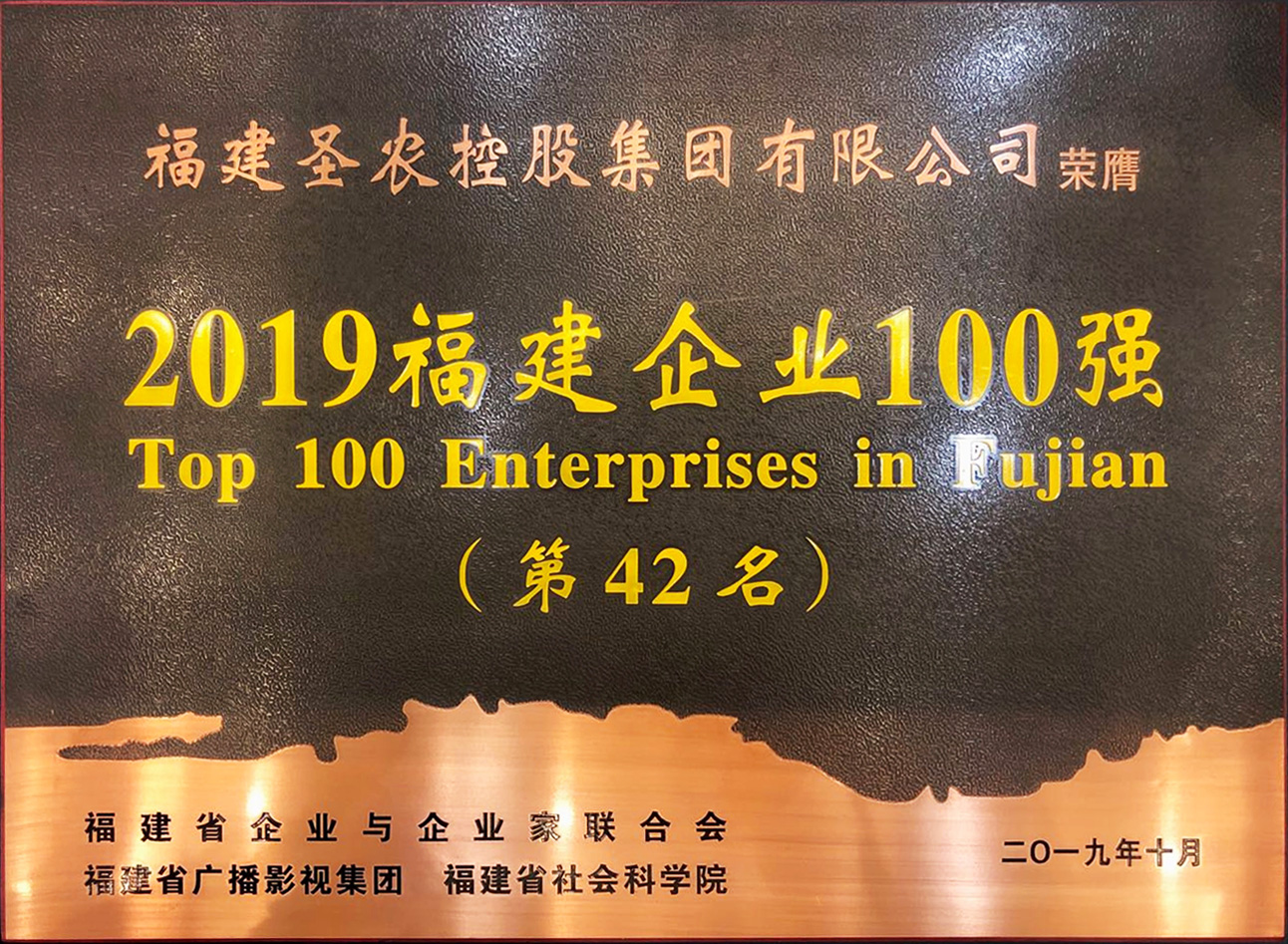 2019（long8国际集团）福建企业100强